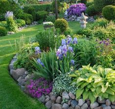 a garden filled with lots of different types of flowers