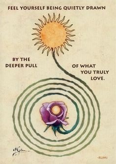 a book cover with an image of a flower and the words, feel yourself being quietly drawn