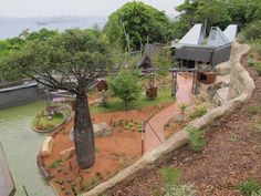 an outdoor play area with trees and water in the foreground, surrounded by land