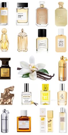 Expensive Perfume, Perfume Photography, Shower Skin Care, Best Fragrances