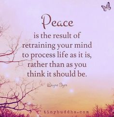 a quote on peace is the result of retraining your mind to process life as it, rather than as you think it should be