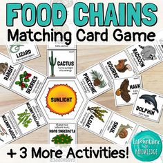 food chains matching card game with 3 more activities