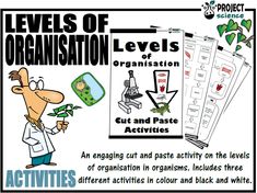 levels of organization worksheet and activities for kids to use in the classroom or at home