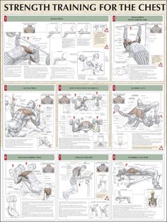 a poster with instructions on how to use the chest and arm muscles for strength training