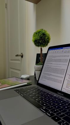 an open laptop computer sitting on top of a desk next to a potted plant