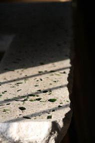 a close up of a stone bench with green plants growing on it's surface