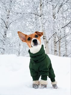 a small dog is dressed in green clothes and standing in the snow with his head turned to the side