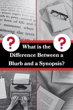 what is the difference between a blur and a synsis? - book cover image