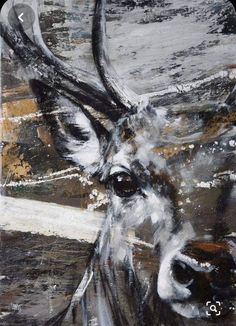 a painting of a deer with antlers on it's face and neck, in grey tones