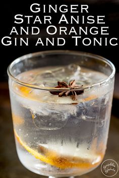 ginger star anise and orange gin and tonic