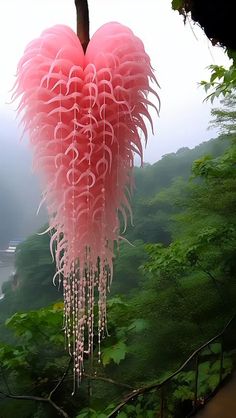 a heart shaped flower hanging from a tree