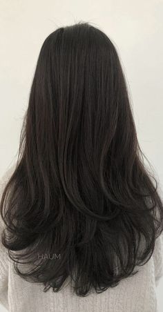 Black Hair Long Layers Curtain Bangs, Low Layer Haircut, Layers For Medium Length Hair Asian, Long Blended Layers Straight, Long Layers On Thick Hair, Thick Hair Layers Long, Dark Beige Hair Color, Long Haircut Unstyled, No Layer Haircut