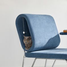 a gray cat sitting on top of a blue chair