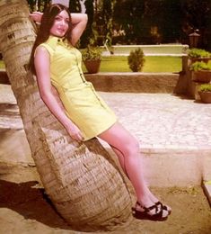 a woman in a yellow dress is sitting on a palm tree and posing for the camera