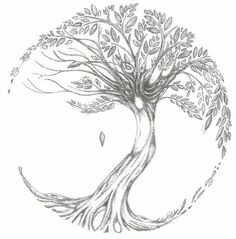 a drawing of a tree with leaves in the shape of a circle on a white background