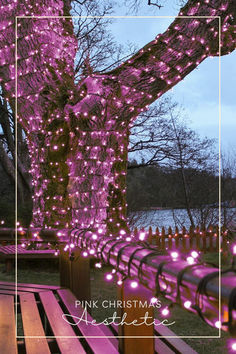 pink lights on outdoor tree Scandinavian Lodge, Led String Lights Outdoor, Outdoor Trees, Indoor String Lights, Led Fairy Lights, Christmas String Lights, Christmas Garden, Christmas Fairy, Fairy String Lights