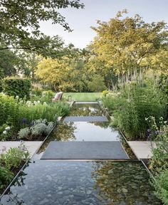 a garden with lots of plants and water in the center, surrounded by greenery