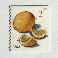 a stamp with oranges on it and two slices cut in half to show the same size