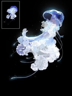 jellyfish floating in the water on a black background with blue and white swirls