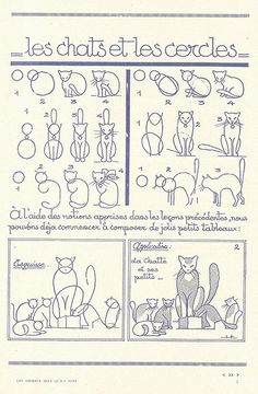 the instructions for how to draw cats in french