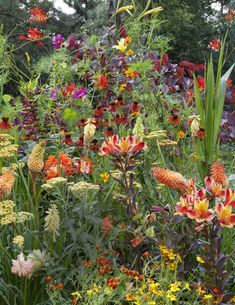 a garden filled with lots of colorful flowers