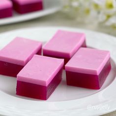 NA Dragonfruit Desserts, Dragon Fruit Jelly, Jelly Cake Recipe, Japanese Jelly, Fruit Jello, Fruit Jelly Recipe, Jello With Fruit, Crystal Jelly