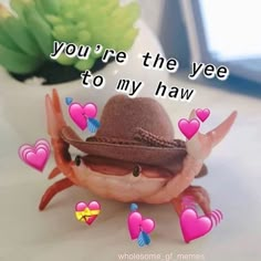 a crab wearing a hat with hearts on it's legs and the words you're the yee to my haw