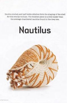 an orange and white sea urchin with the words nautilus written below it