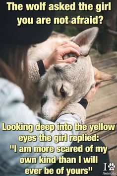 a woman is petting a dog with the caption,'the wolf asked the girl you are not afraid? looking deep into the yellow eyes the girl replaced i am more scared of my own kind