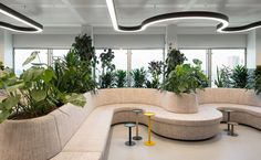 an office lobby with plants and couches