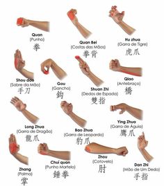 an image of different types of hands with chinese characters on them and the names in each language