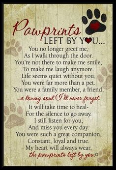 a poem written in the language of pawprints left by you