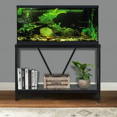 a fish tank sitting on top of a book shelf next to a plant and books