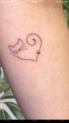 a small cat tattoo on the arm