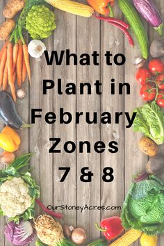 what to plant in february zones 788