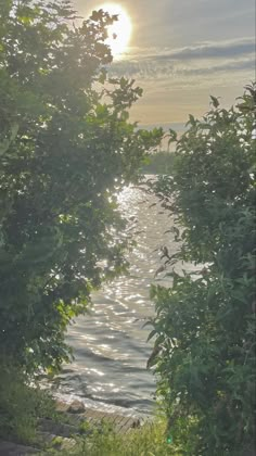 the sun is shining through some trees over water