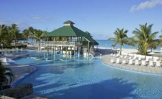 an outdoor swimming pool with lounge chairs and umbrellas next to the ocean in front of palm trees