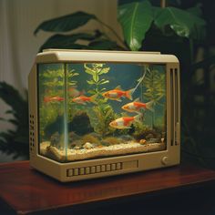 an old tv with fish in it on a table