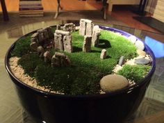 a glass table with rocks and grass in it