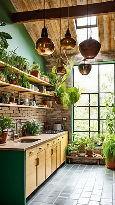 a kitchen filled with lots of potted plants and hanging lights above the counter top