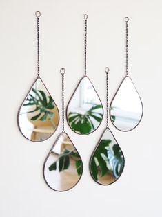 three mirrors hanging on the side of a wall next to a potted green plant