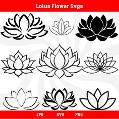 lotus flower svg files for silhouettes and cricut designs, including flowers