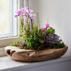 a wooden bowl filled with plants on top of a window sill