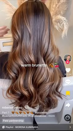 Layer Hair With Highlights, Faded Highlights Brunettes, Brunette Hair Highlights And Lowlights, Golden Brunette Hair Balayage, Light Layers Haircut Medium, Balayage Layered Hair, Lowlights On Brown Hair, Caramel Colored Hair, Warm Brown Hair With Highlights