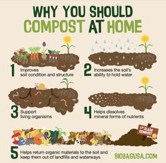 the benefits of composting at home and how to use it in your garden