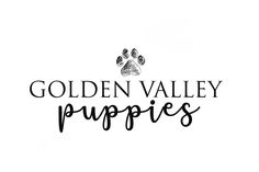 the golden valley puppies logo is shown in black and white with an animal's paw