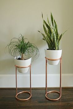 two potted plants sitting on top of metal stands