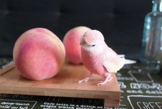 a small bird sitting on top of a cutting board next to two peaches and a bottle