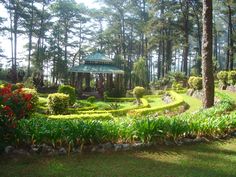 a gazebo surrounded by lush green plants and trees