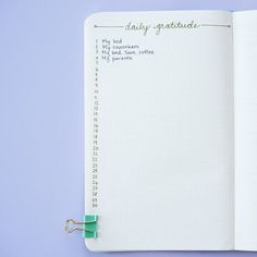 an open notebook with the words daily gratitude written on it and a green clip attached